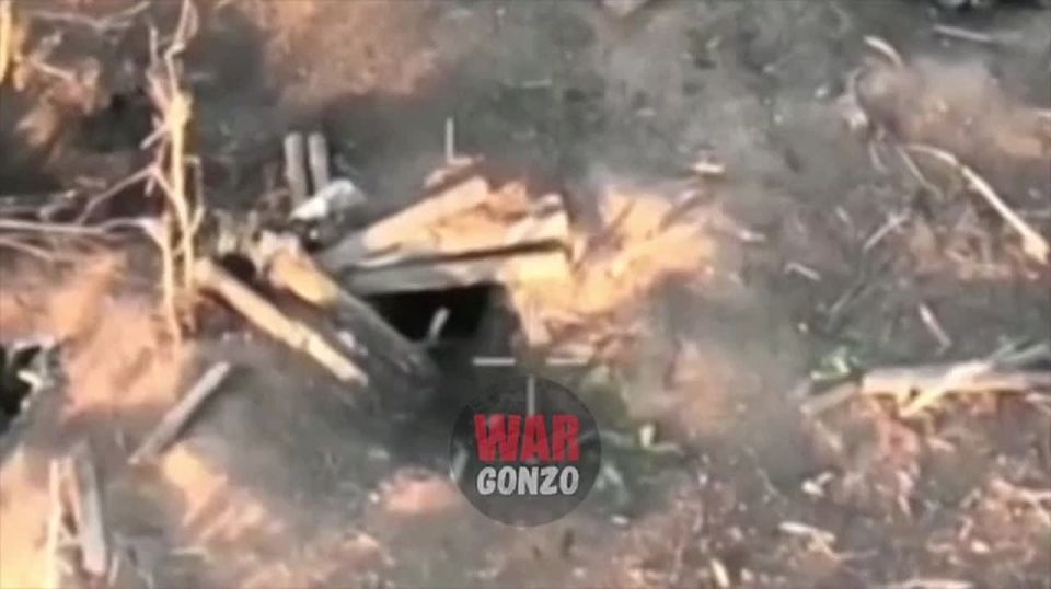 WarGonzo: Джанго из группы «Немца» предлагает «свинке Пеппе» не бегать от русского медведя