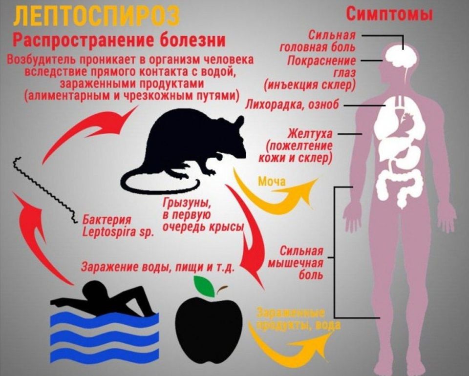  -     ,      ,      , ,     ...