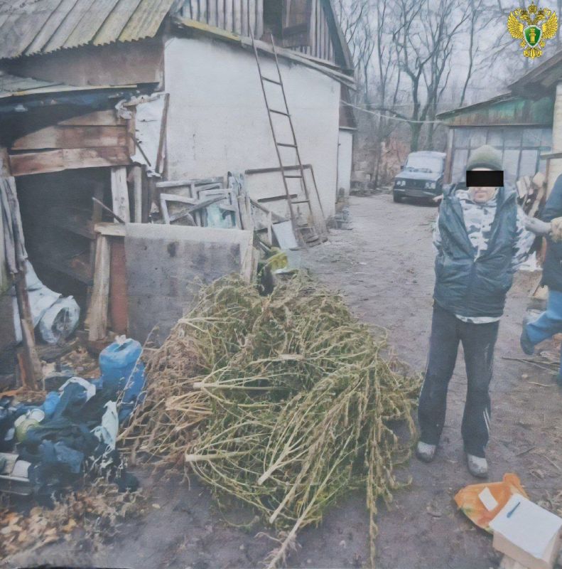 9 килограммов конопли и продажа наркотиков: житель Черниговского района получил реальный срок