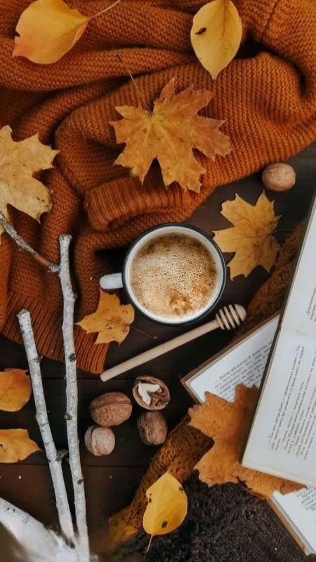 7 октября 2025 года