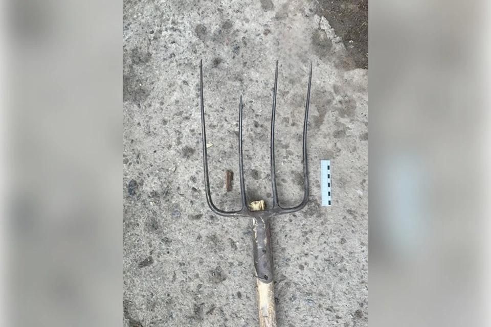 ������ ����������� �������, �������� ������������ ������, ����� ������������� ������