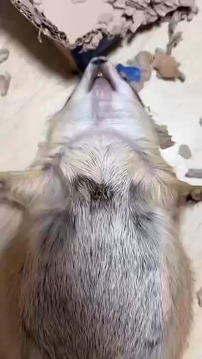 ��������� ��� ������ ���� � ���� ��������