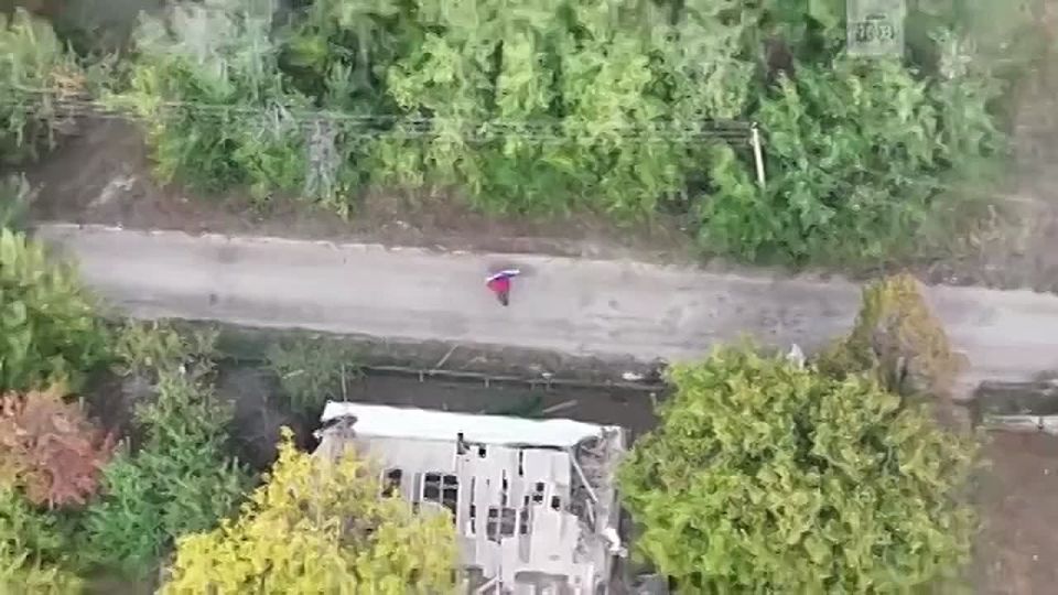 ��� ���� � ����������� �������: ���������� �������� ����� ���� �� ��������������, ������� ���� ����������� ��������������� ����������� �������