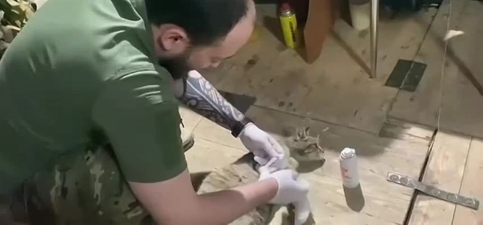 �������� "�������� ������" �� ���