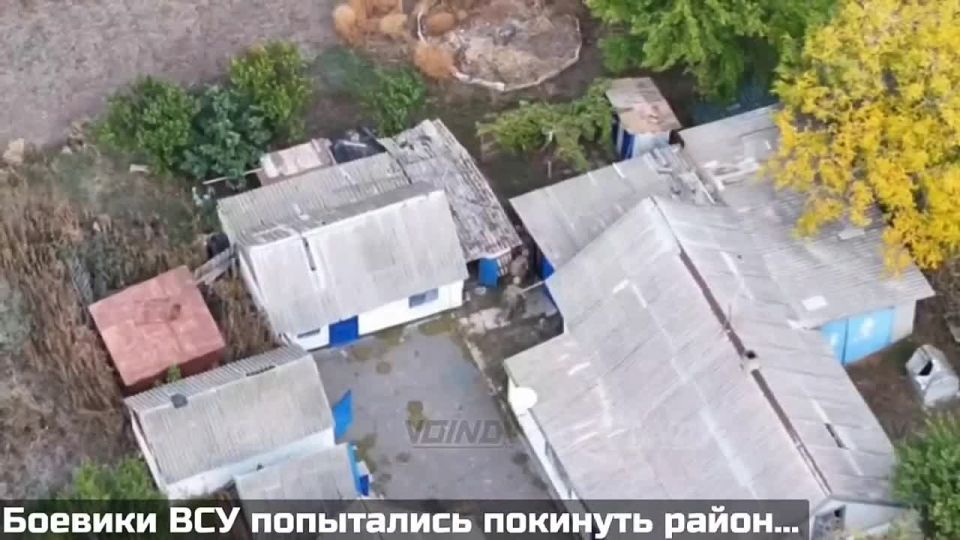 ��� ���� 60-� ��������� �������������� ������� ����������� ������� �� �������� � �������� ��� �������� ��������� ������ � �� ����� ������������ �������������� � ����������� ������� �� � �������� ������ ������ �� 5...