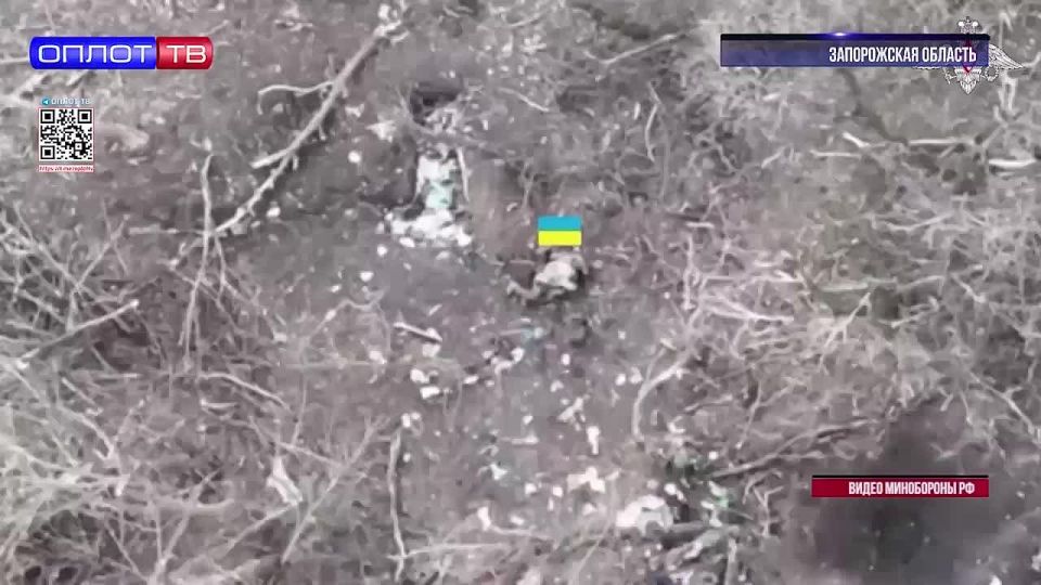 8 ������� � ������������ ������� ������ ������� �� ������������ ��� ������ ���������� ������