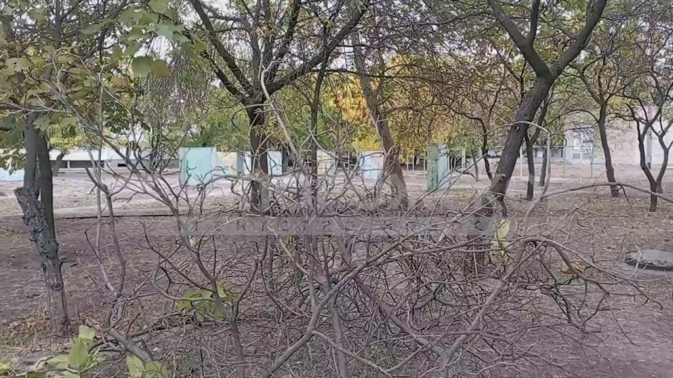 В Энергодаре обрезали аварийные ветки для безопасности жителей