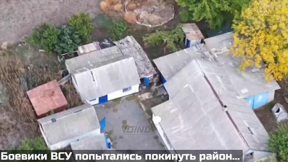���� ������ �������: ���������� ��������� ����� ����������� �� �������� ������� � ���
