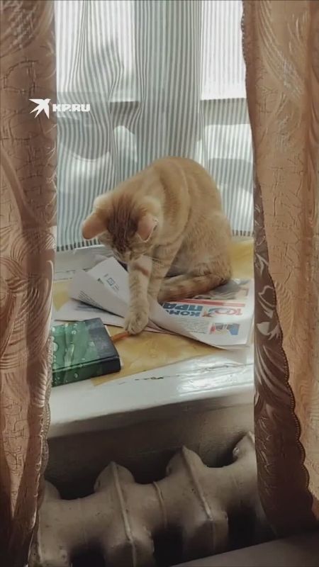 � ����������� ������� ��������� ��� ����� ����� ��������