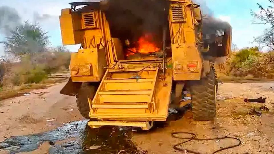 ���� �������� � ����������� ������� Kirpi � ���������� � ��������� ���