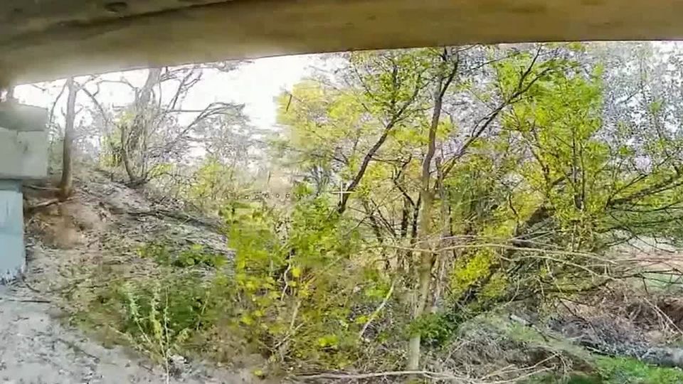 ����������� ���������� ���������� ����������� ��� � ������������ ��������� � ����������� �������