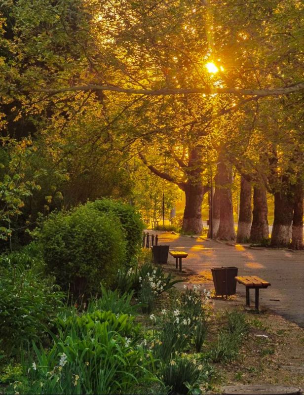 Желаем солнечного утра! Желаем бодрости и сил! Чтоб каждый день обычной жизни, Лишь только радость приносил