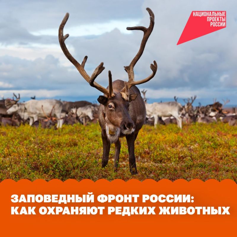 ������ � �������� ���������� � �������� ��������