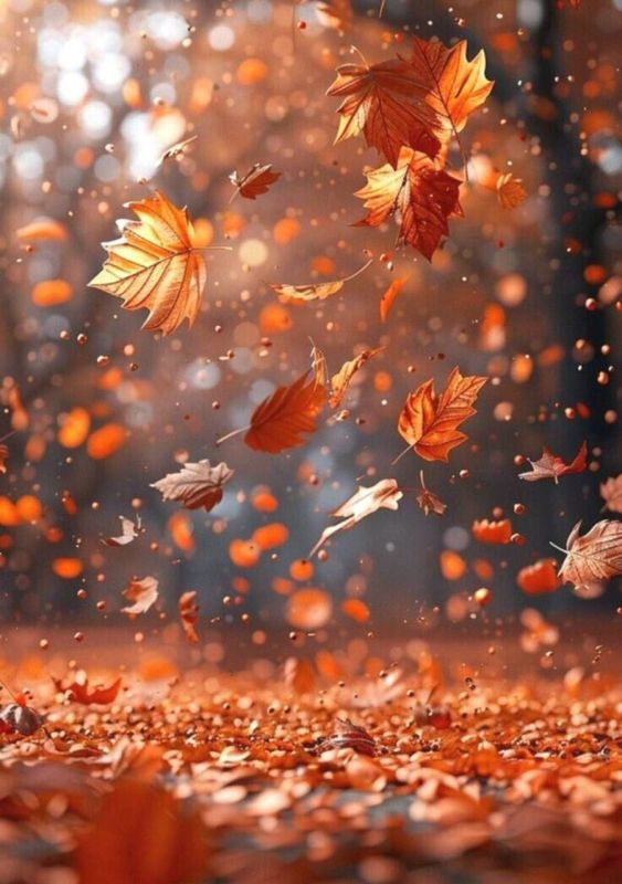 Доброе утро, друзья!. Встречаем новый день и новые возможности! Несмотря на дождливую погоду, солнечного вам настроения! Пусть четверг будет удачным! И пусть сегодня всё получается)) Подписывайтесь на: Вести Приморск