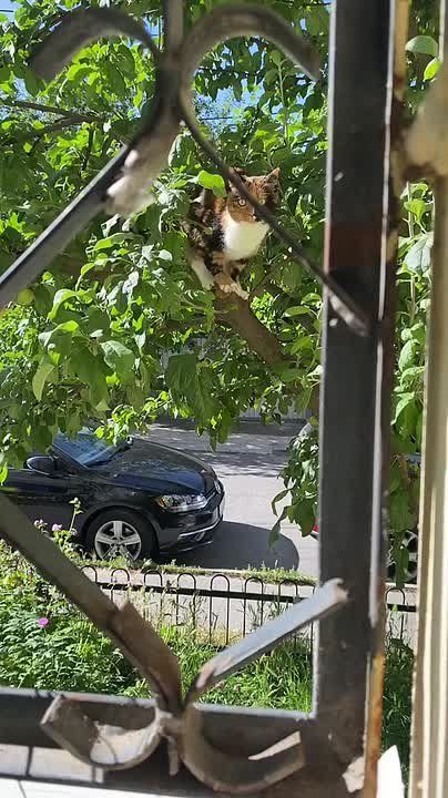 ����� ��������� � ����� ������� ����