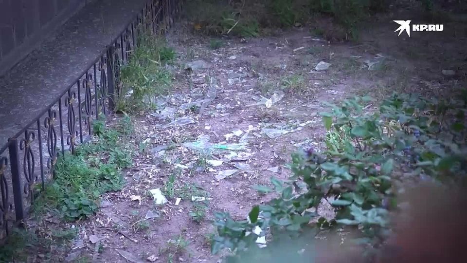 Киевский режим в 2025 году совершил 1346 атак на запорожские города