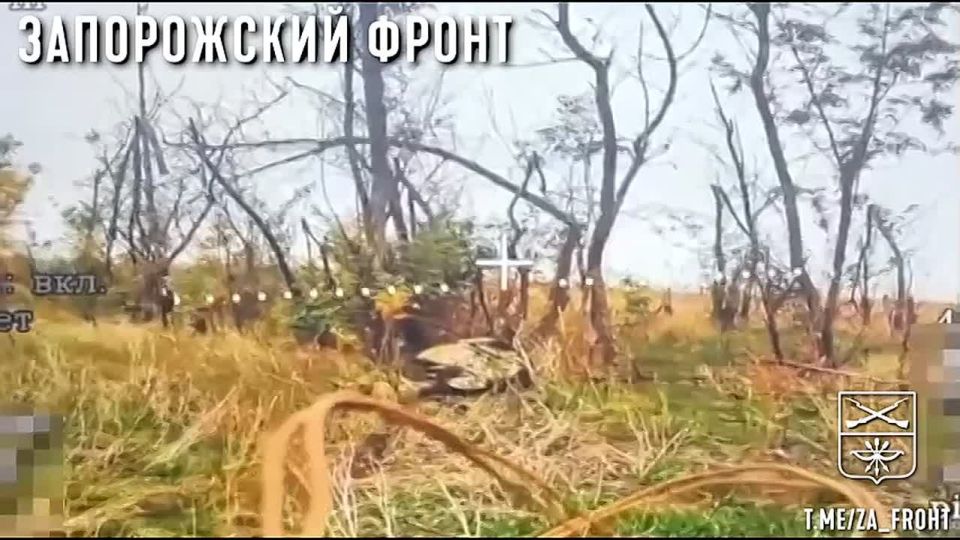 ��������� ���� 3-� ��������� ������ ������ ��������� ������ ������� ���������� �� ����������� �����������: ������� - � ����, ������ ������ - ��� ����, ������� - �������