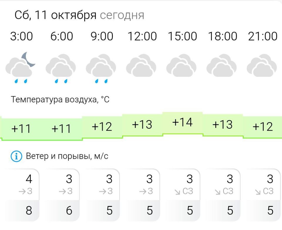 ПРОГНОЗ ПОГОДЫ. В субботу, 11 октября в Энергодаре пасмурно, небольшой дождь