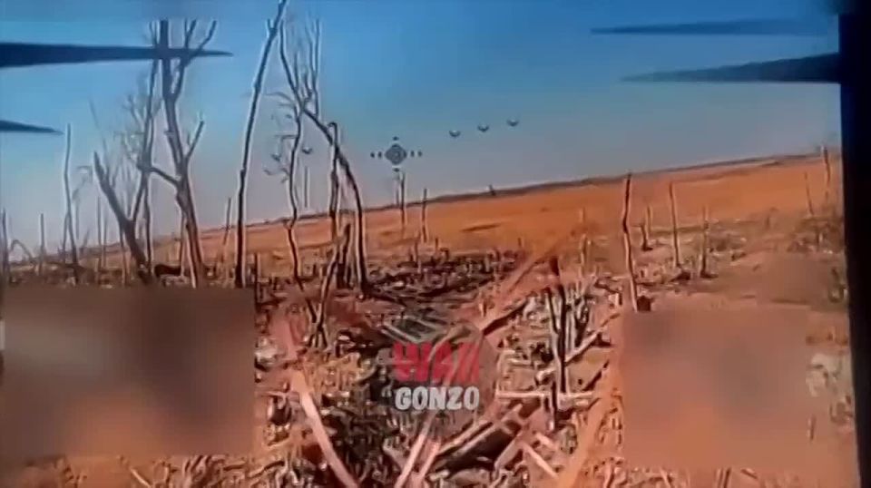 WarGonzo: От них не спрятаться даже под землёй – работает группа «Немца»