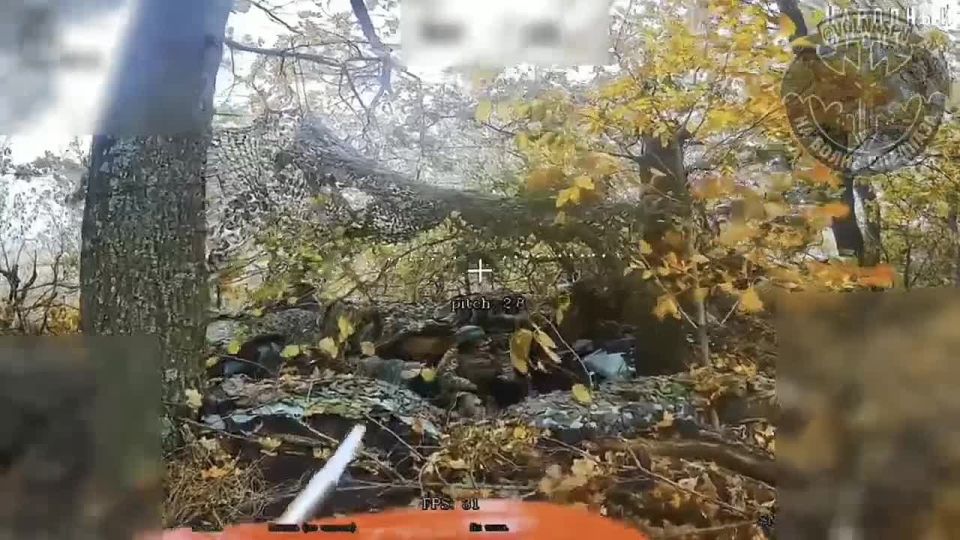 ������� ����� �� ����� ���! ����������� ������� ����� �� �����! ��� ����