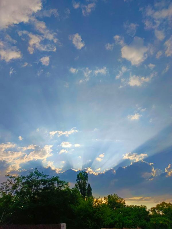 Доброе утро, друзья! Благодарность и любовь - это два волшебных средства, которые способны превратить жизнь в сказку