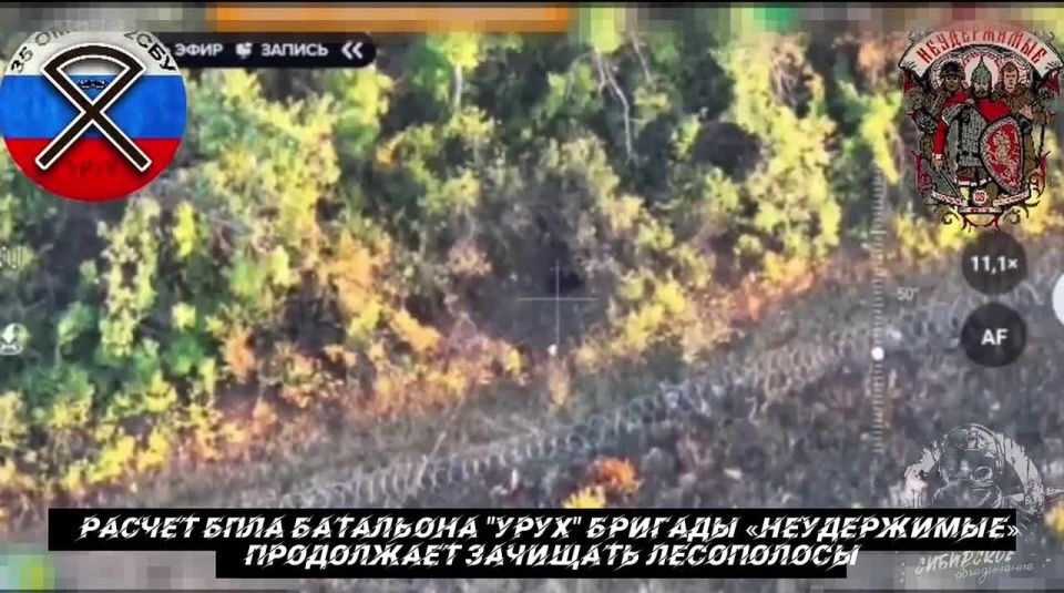 от Енота Херсона за прошедшие сутки с разных направлений зоны проведения специальной военной операции