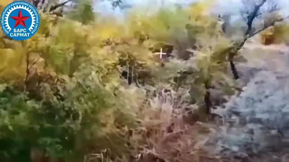 Два майора: Запорожский фронт, у Степногорска