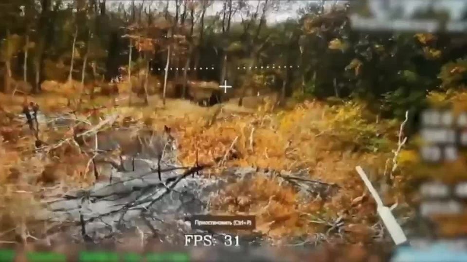 ����������� ����������� � ������� ��� � ����������� �������