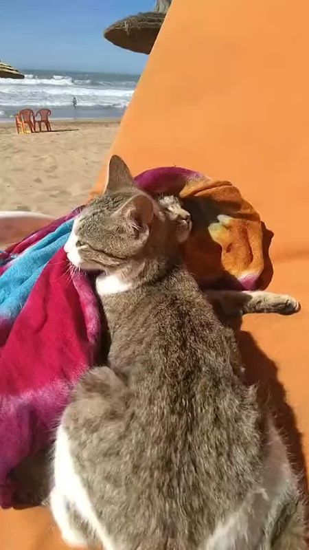 ��� � ���� �����������. ���� ����� � ���� ���� ��� �� ����
