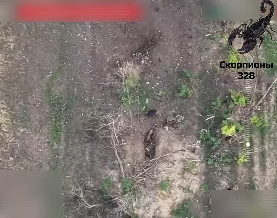 Работа FPV на Ореховском направлении