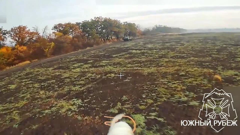 ������������� ���� 33 ��������������� ����� 8 �� ������� ������ ���� �� ����������