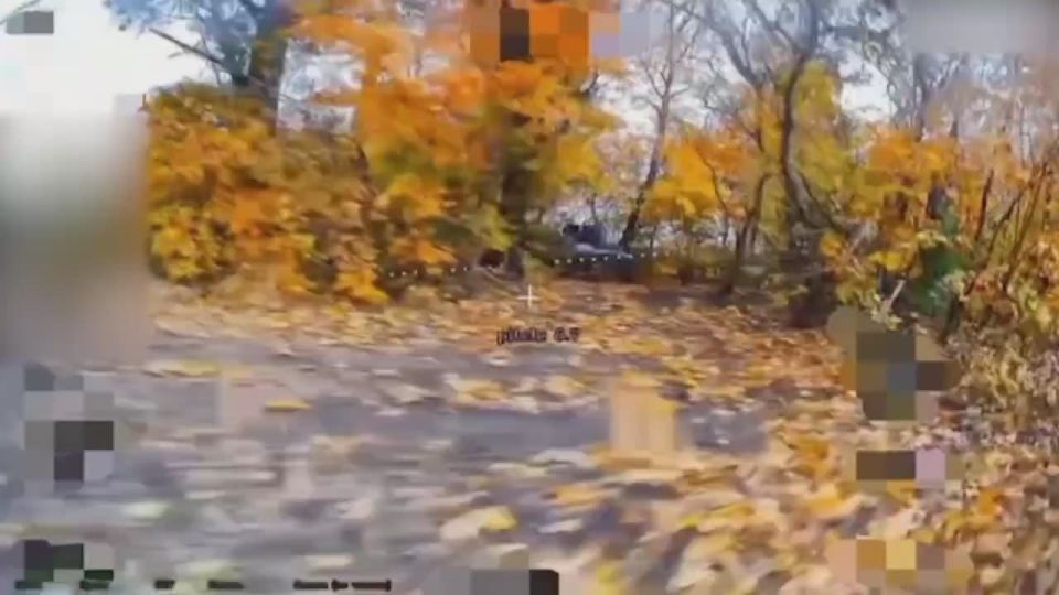 ���������: ����� ������ ������� ������ ����� �� �������� ���