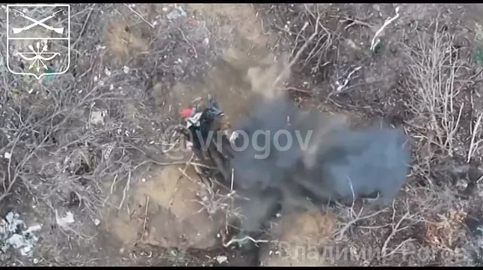 Владимир Рогов: Воздушный таран дронов, удар по танку и зачистка боевиков ЗеРейха