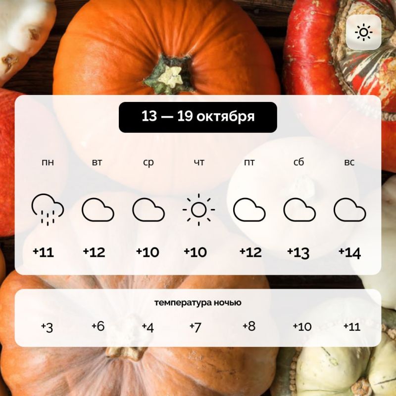 ������ � ����������� ������� �� 13 � 19 �������