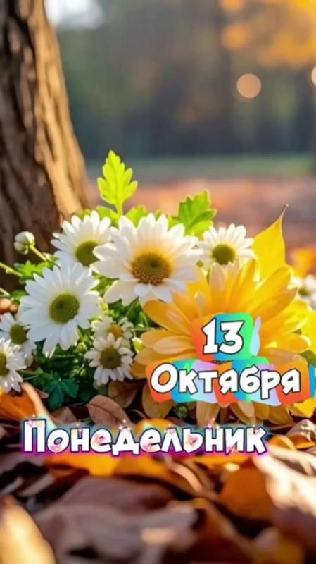 Доброе утро Днепрорудное!. Пусть новый день распускается яркими красками и радует позитивными событиями, интересными встречами, выполненными планами и новыми задачами