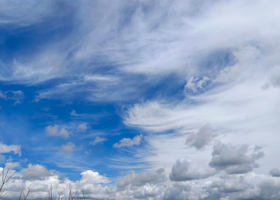 Спешим пожелать доброго утра! Пусть день будет наполнен только яркими событиями и принесет спокойствие и гармонию