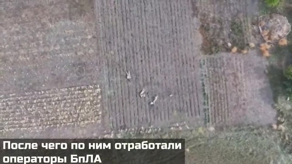 Евгений Лисицын: Штурмовик с позывным «Мио» представлен к званию Героя России