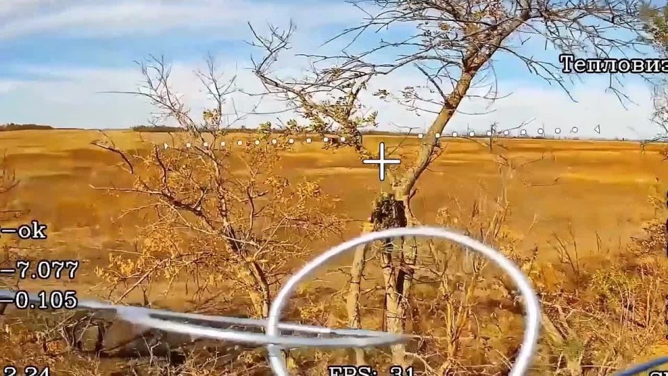 ��������� FPV-������ ����������� ����� ������ ���������� ������� � ����� ���������� ���� ��� � ����������� �������