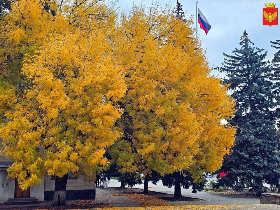 Доброе осеннее утро, любимый Приморский муниципалитет и все-все его жители и гости!