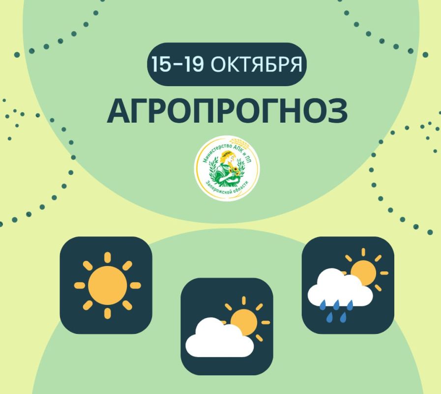 ������ ������: ����������� | 15-19 �������