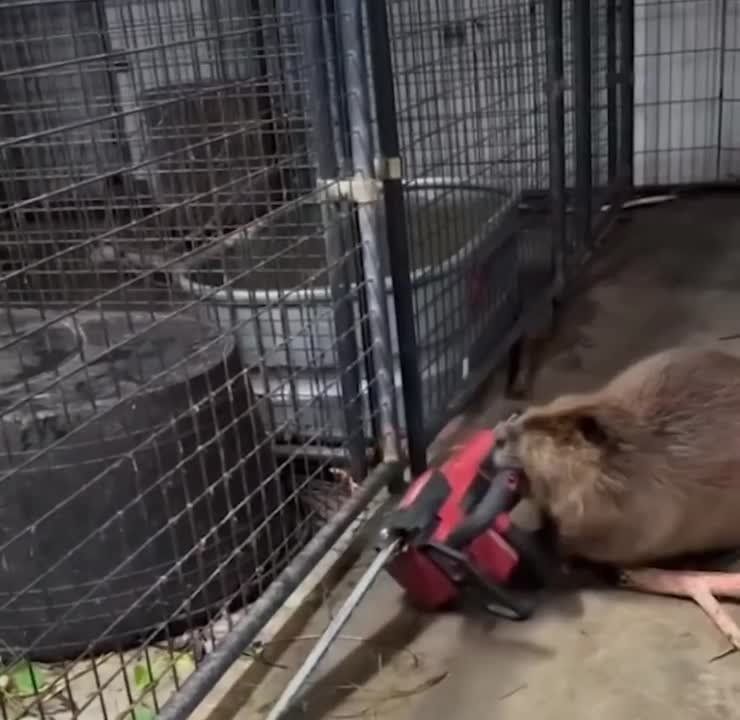 �������� ���� ���� ������ � ������