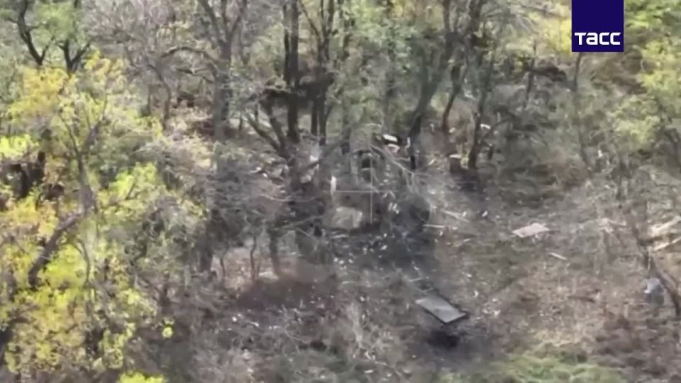 ������������ "�������" ���������� "�����������" ��������� ��� � ����������� �������, �������� ���� ��������