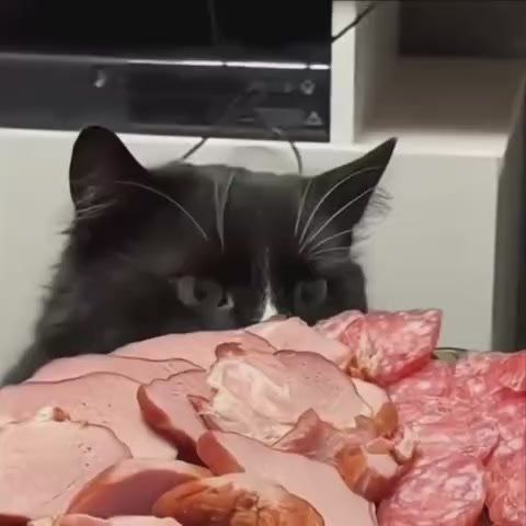 ����� ��������� ���������, ��� � ����� ��������