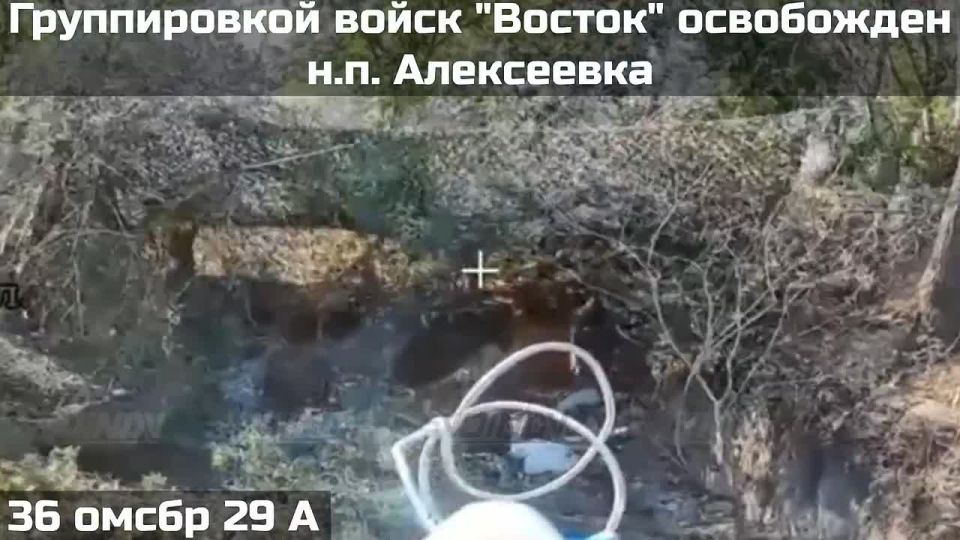 ������� ����������� ����� "������" ���������� ����˨���� ����� ���������� ���������������� �������