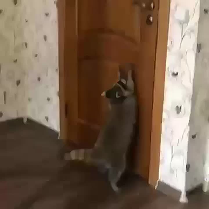 ������ ����, ������! �������� ��� ��� � ��������� ����������!