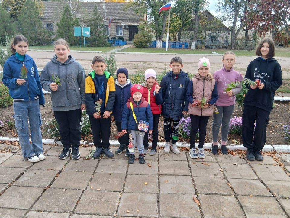 День собирания осенних листьев - есть такой необычный праздник в календаре!