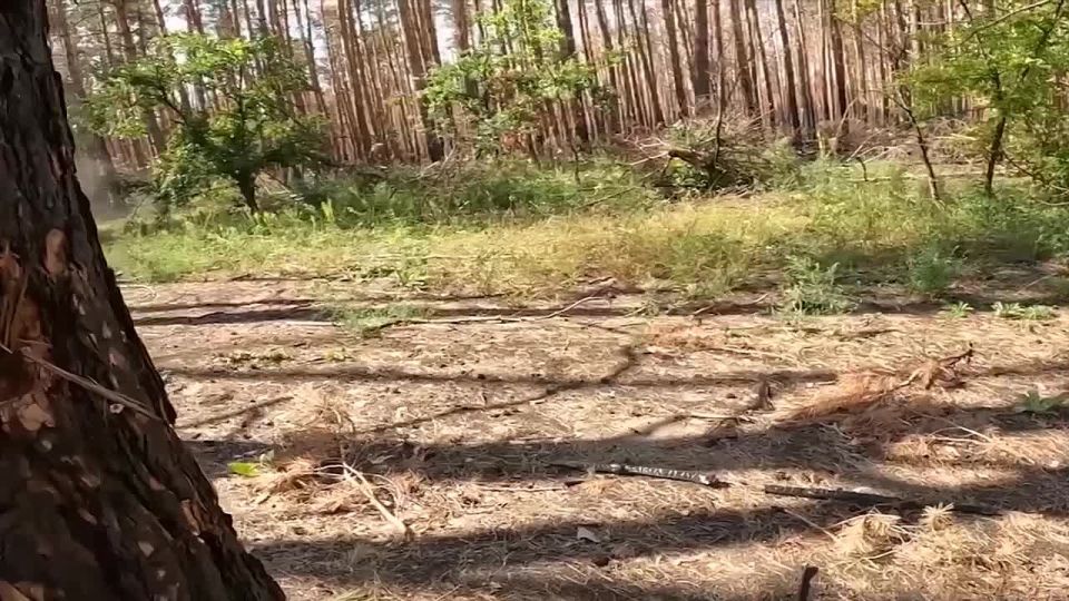 ���� ����������� ����������� ����� ������ �� �������������� ����� ���������� � ��������� ������ ����������� �������