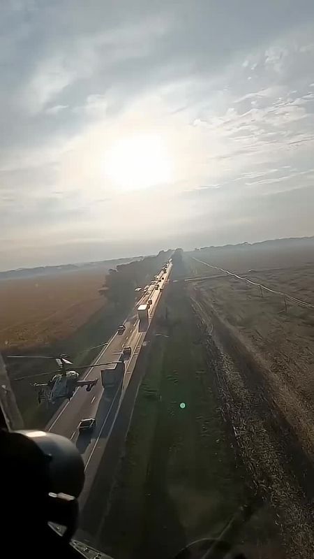 ������ ���� ��������, ����������� �������!
