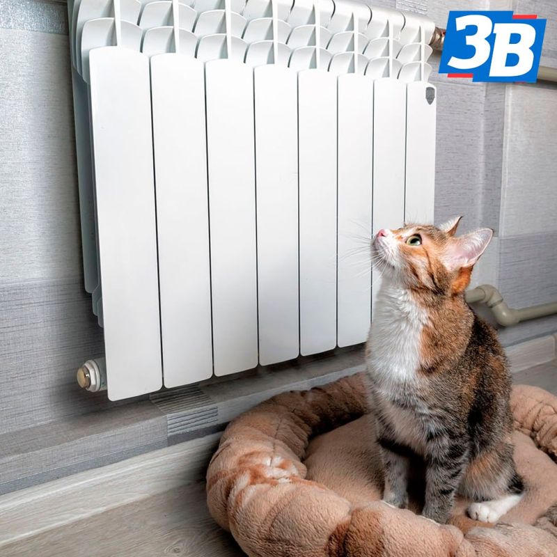 � ���������� �������� ������������ �����