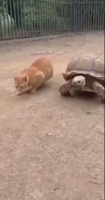 � ��� � �������� �������. ������ �� ������, �� �� �����